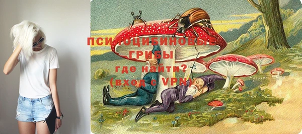 прущие крисы Алексин