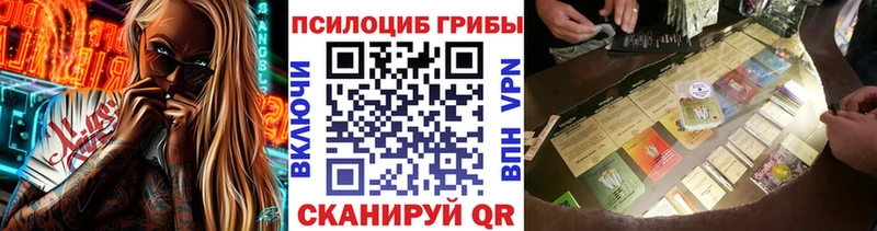 Галлюциногенные грибы Psilocybe  Копейск 